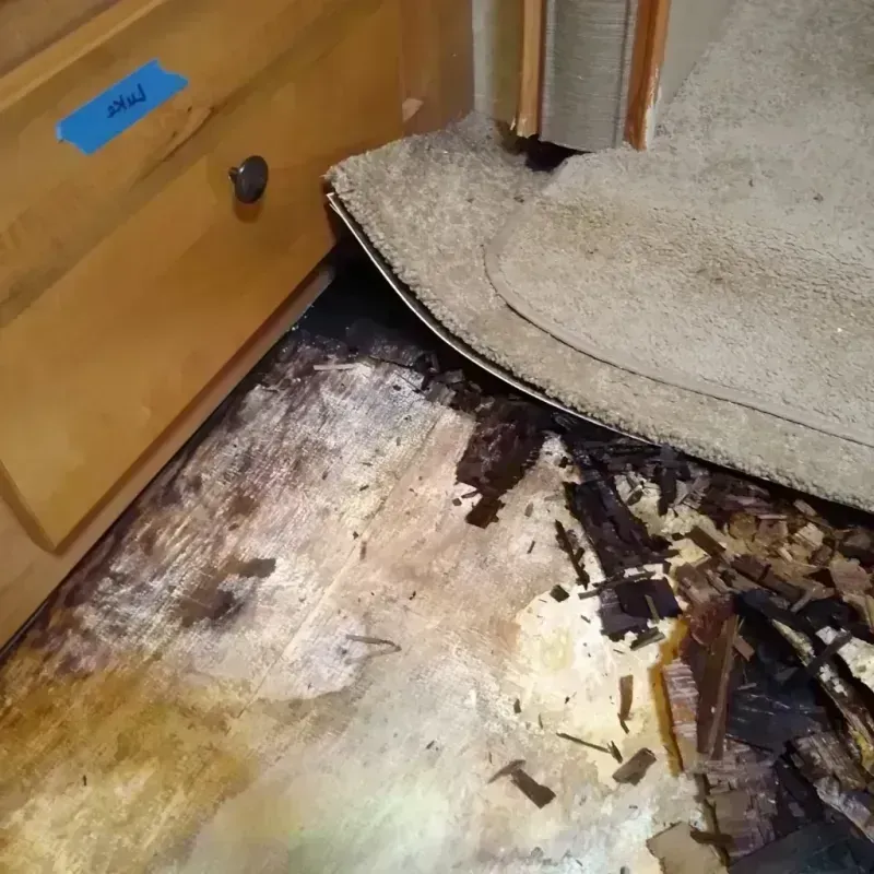 Best Wood Floor Water Damage Service in Jamesport, NY